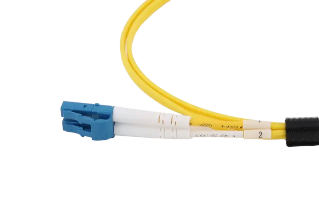 OS2LCLC1.webp