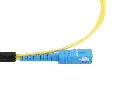 0W8A3792-2.webp