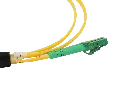 0W8A3773-2.webp