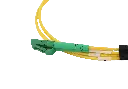 0W8A3773-1.webp
