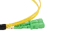 0W8A3779-2.webp