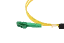 0W8A3779-1.webp