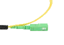 0W8A3797-2.webp
