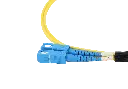 0W8A3785-1.webp