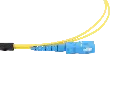 0W8A3799-2.webp
