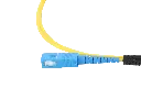 0W8A3799-1.webp