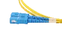 0W8A3767-1.webp