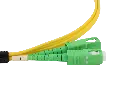 0W8A3770-2.webp