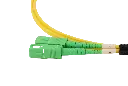 0W8A3770-1.webp