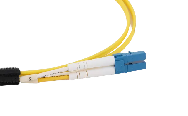 OS2LCLC2.webp